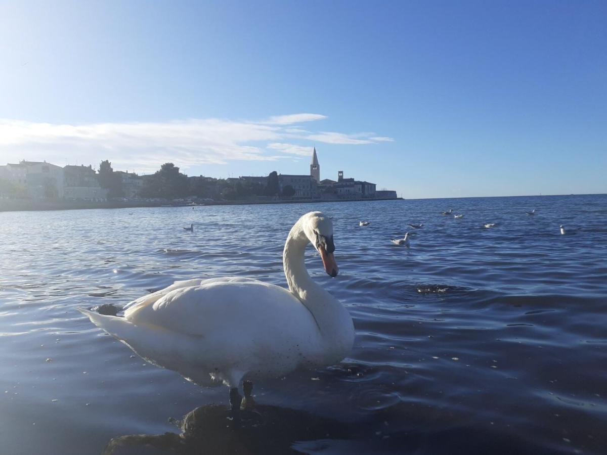 Fabac * Porec